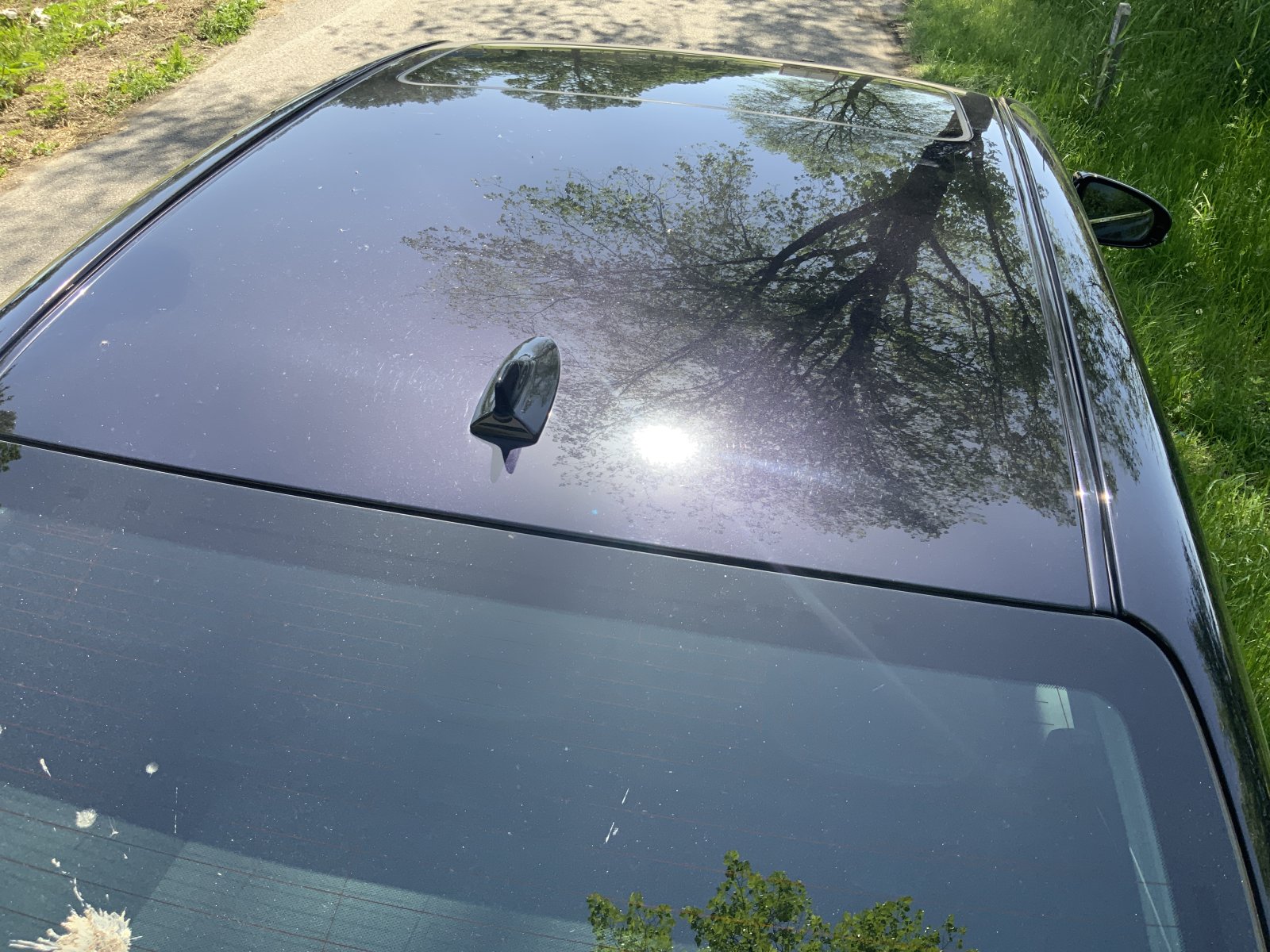 Inspectiefoto van Lexus GS