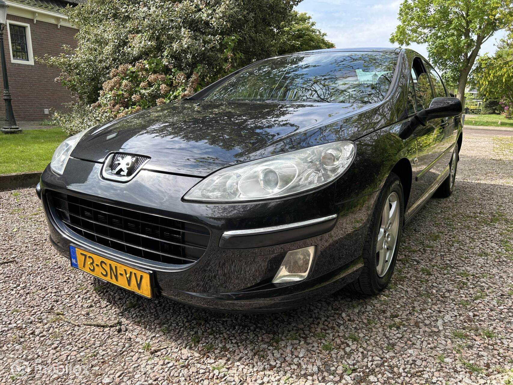 Foto van PEUGEOT 407