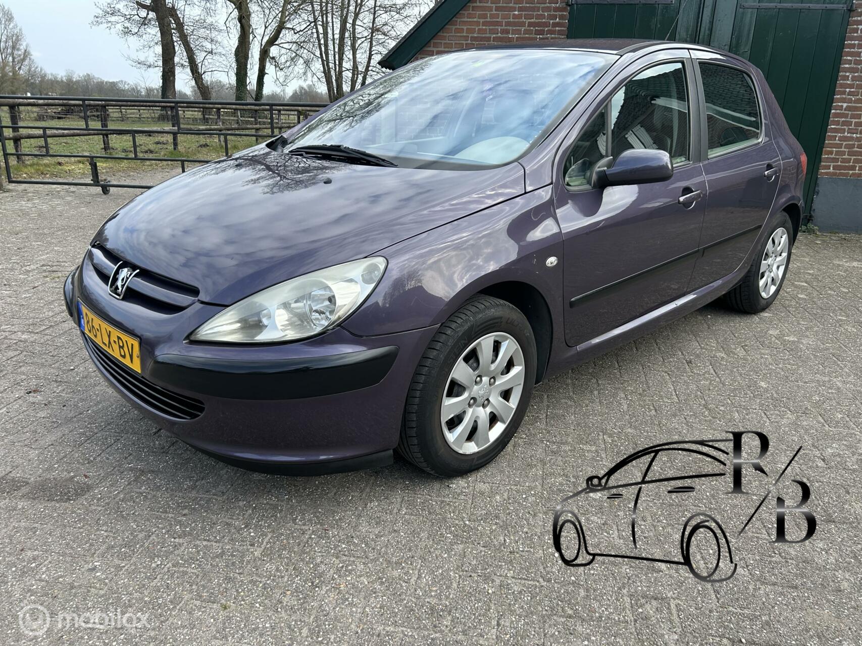 Foto van Peugeot 307