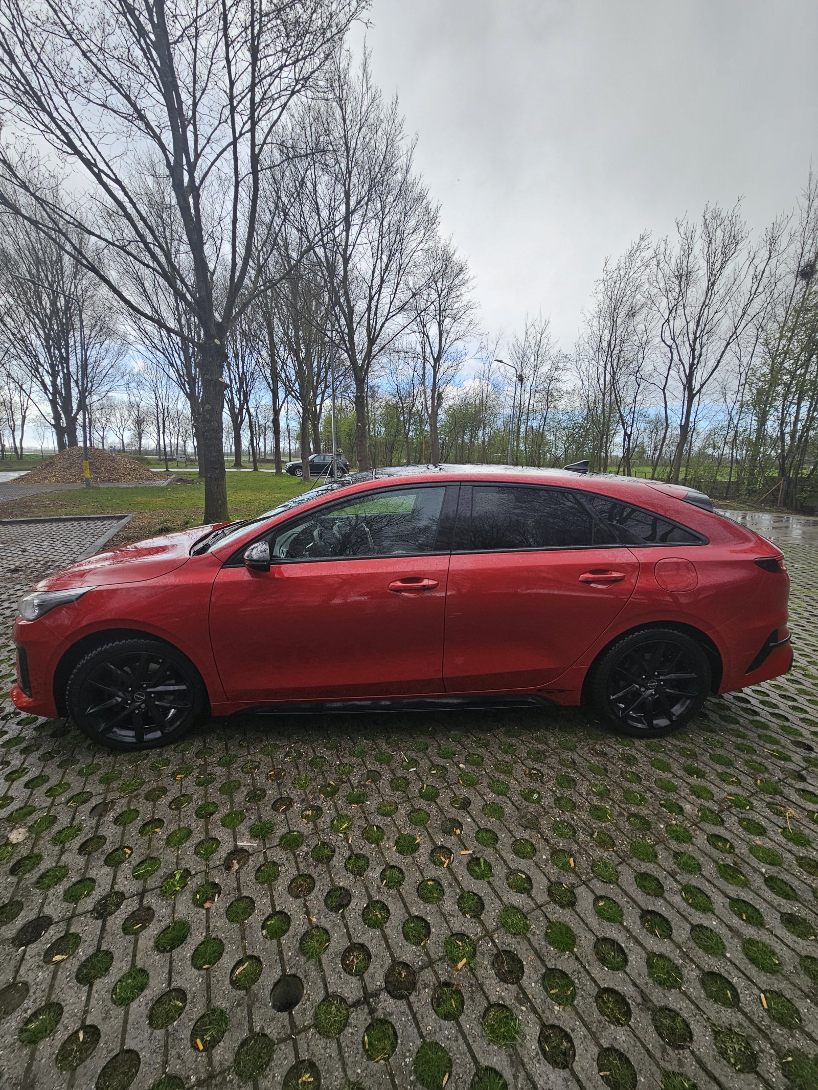 Inspectiefoto van Kia Proceed