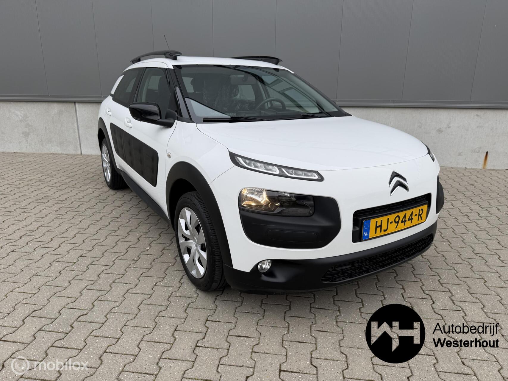 Foto van CITROEN C4 CACTUS