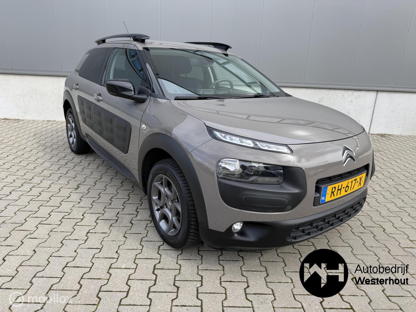 Foto van CITROEN C4 CACTUS
