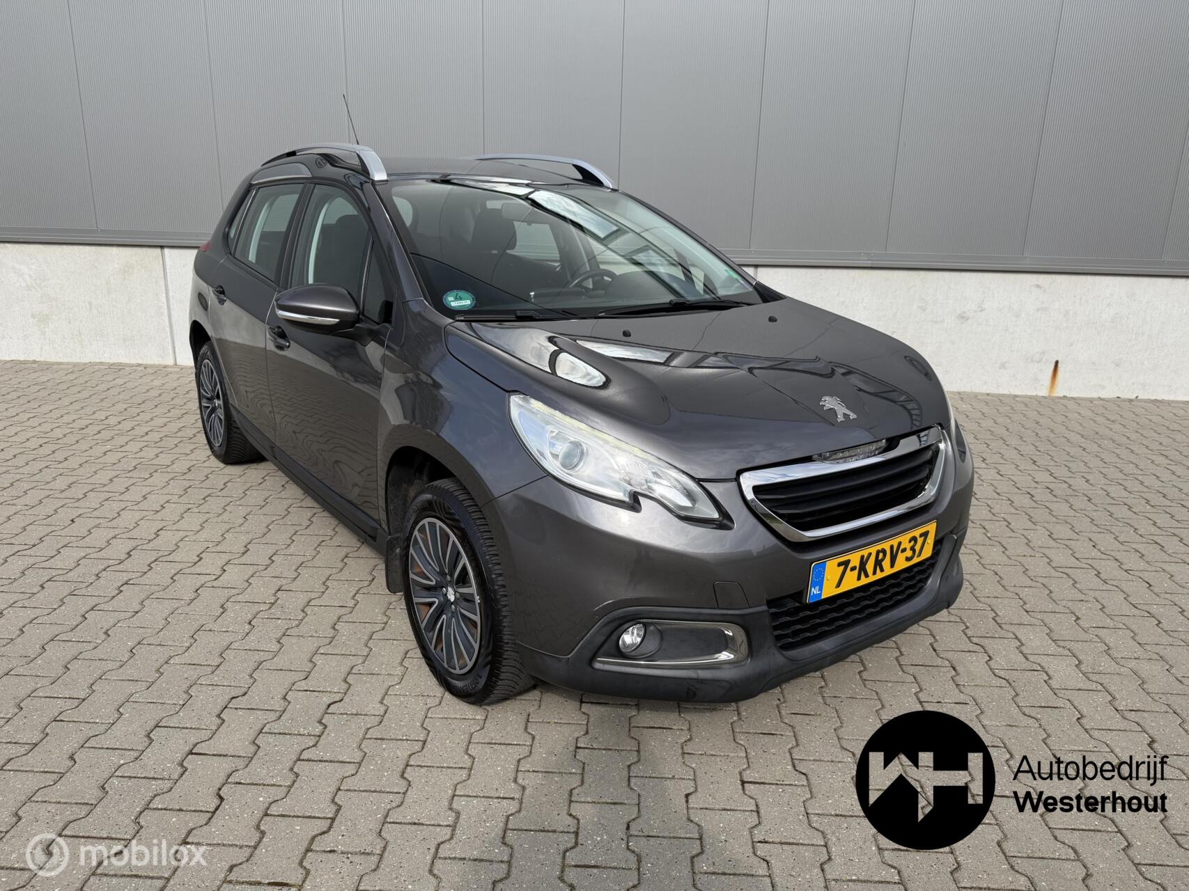 Foto van PEUGEOT 2008