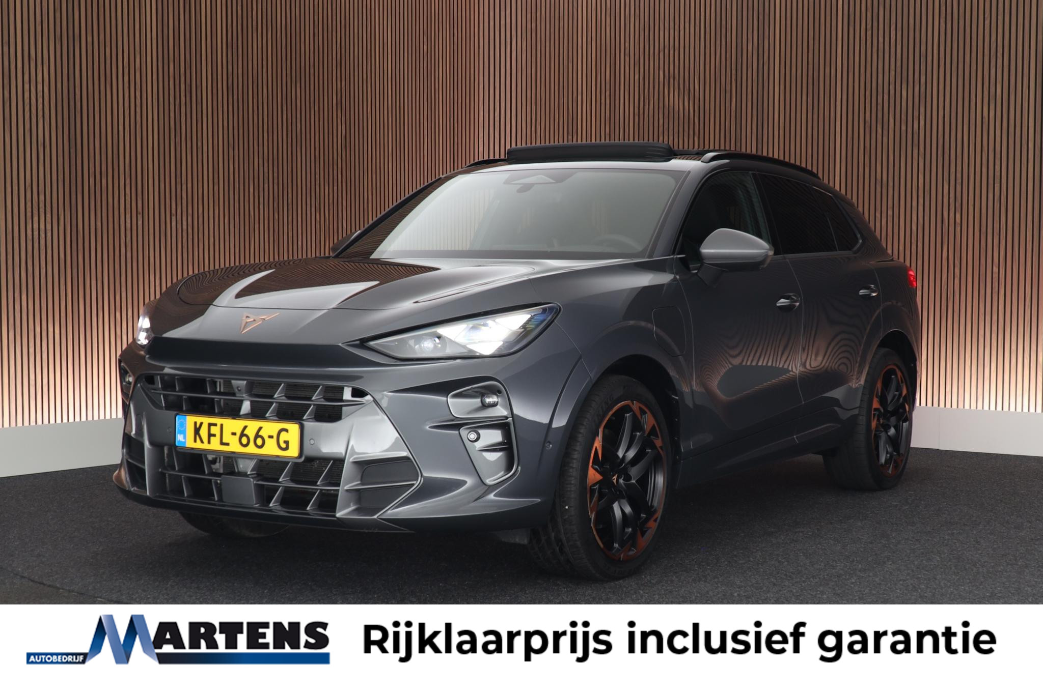 Foto van CUPRA TERRAMAR E-HYBRID