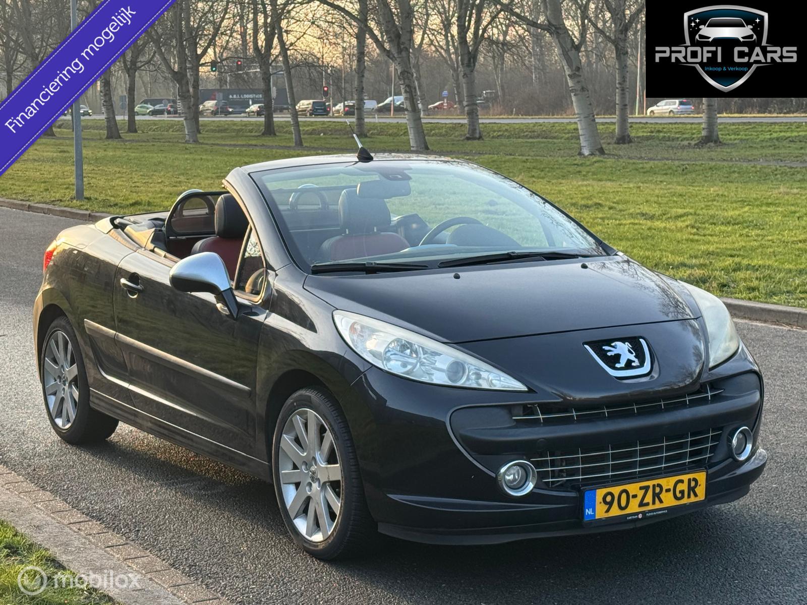 Foto van PEUGEOT 207