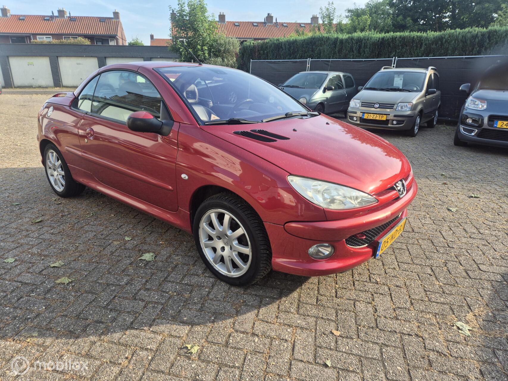Foto van PEUGEOT 206