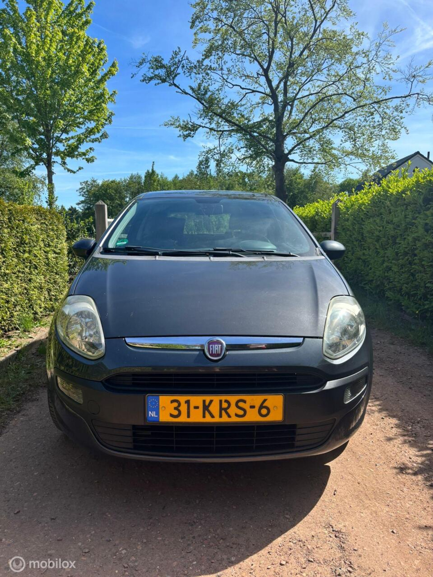 Foto van Fiat Fiat Punto
