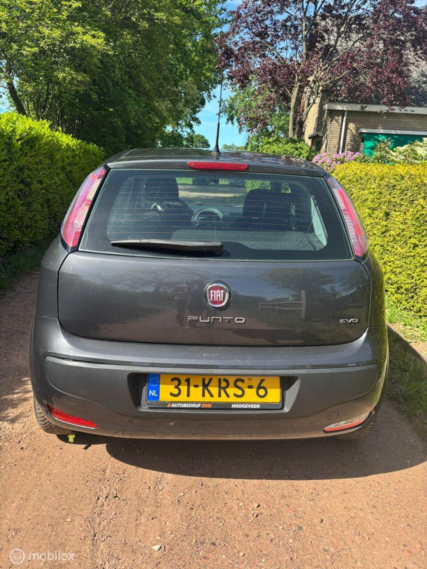 Foto van Fiat Fiat Punto