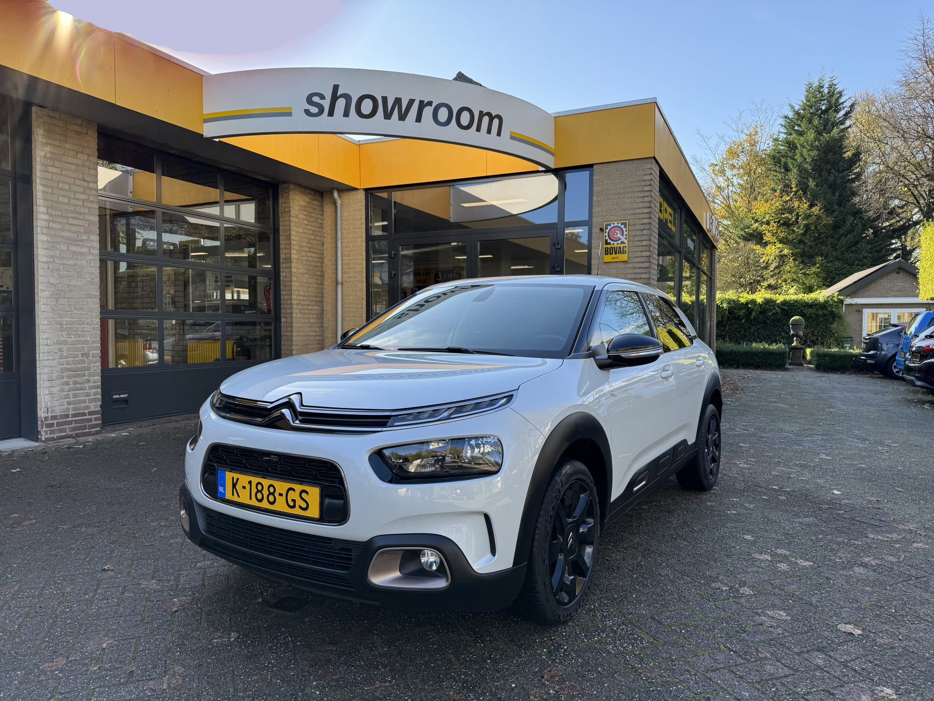 Foto van CITROEN C4 CACTUS