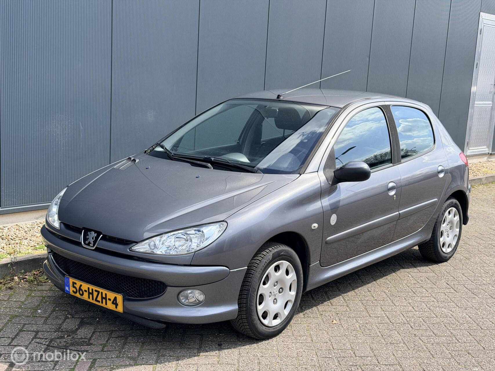 Foto van PEUGEOT 206