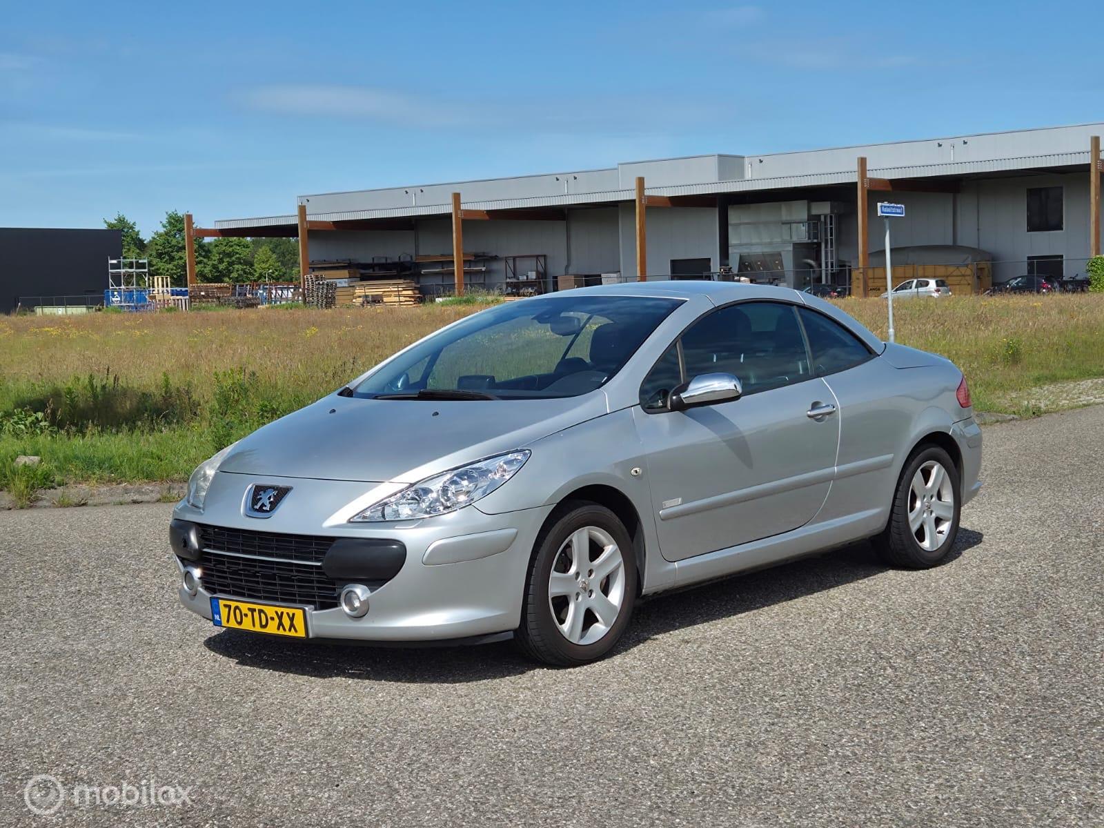 Foto van PEUGEOT 307