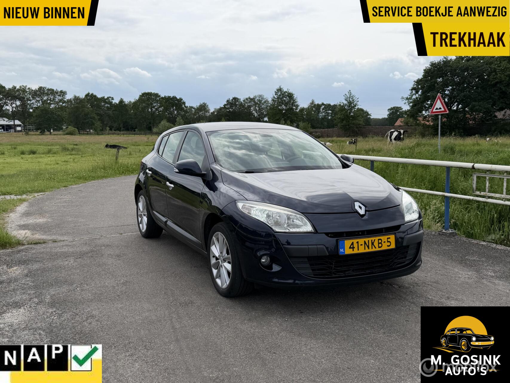 Foto van RENAULT MEGANE