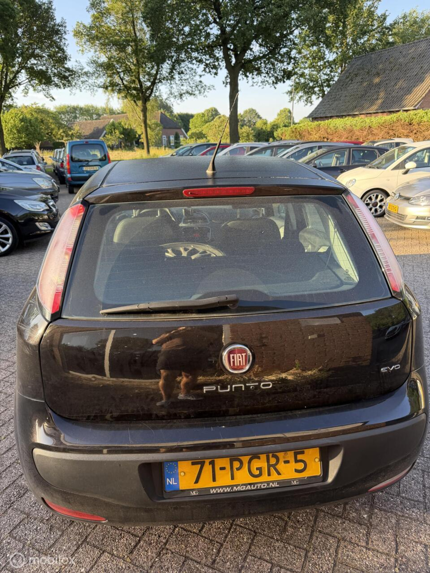 Foto van Fiat Fiat Punto