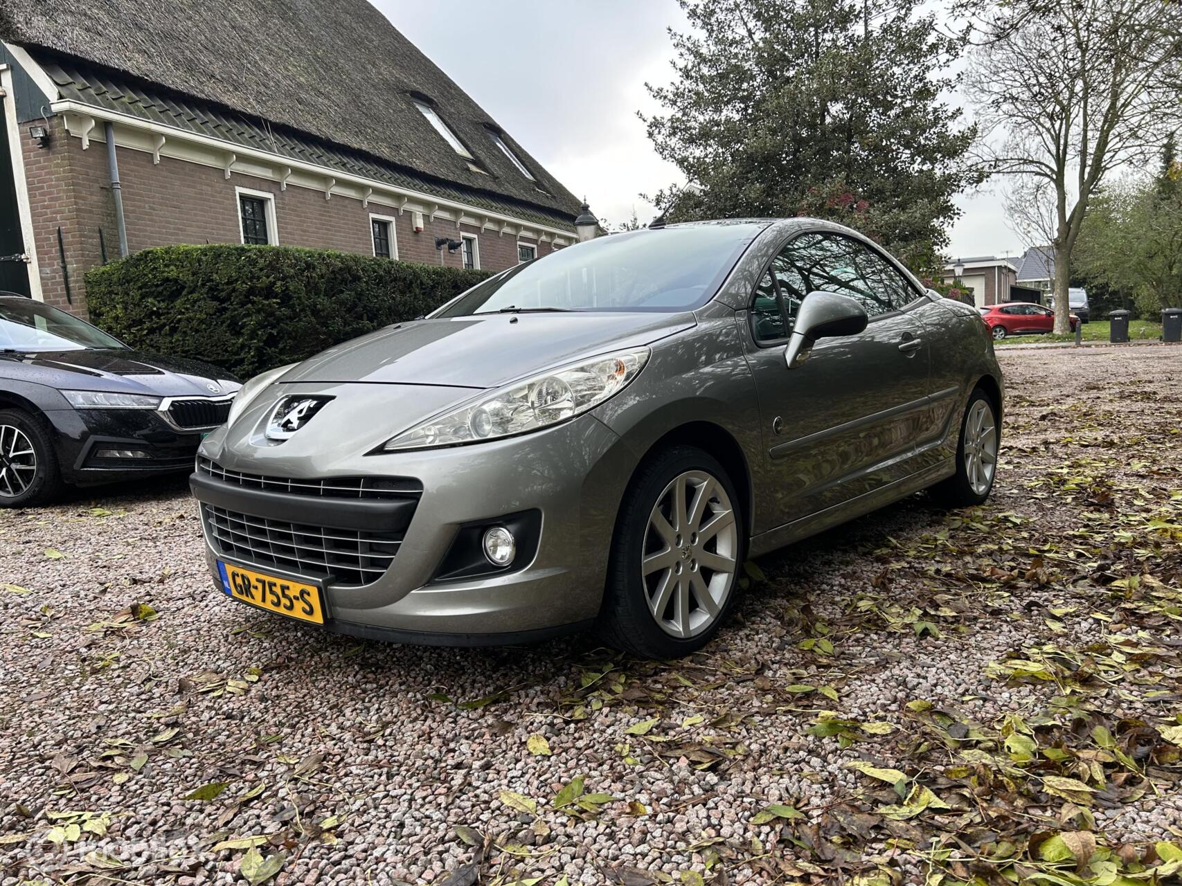 Foto van PEUGEOT 207