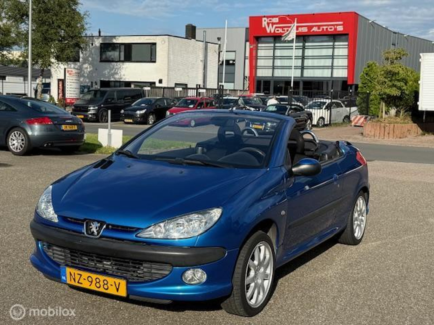 Foto van PEUGEOT 206