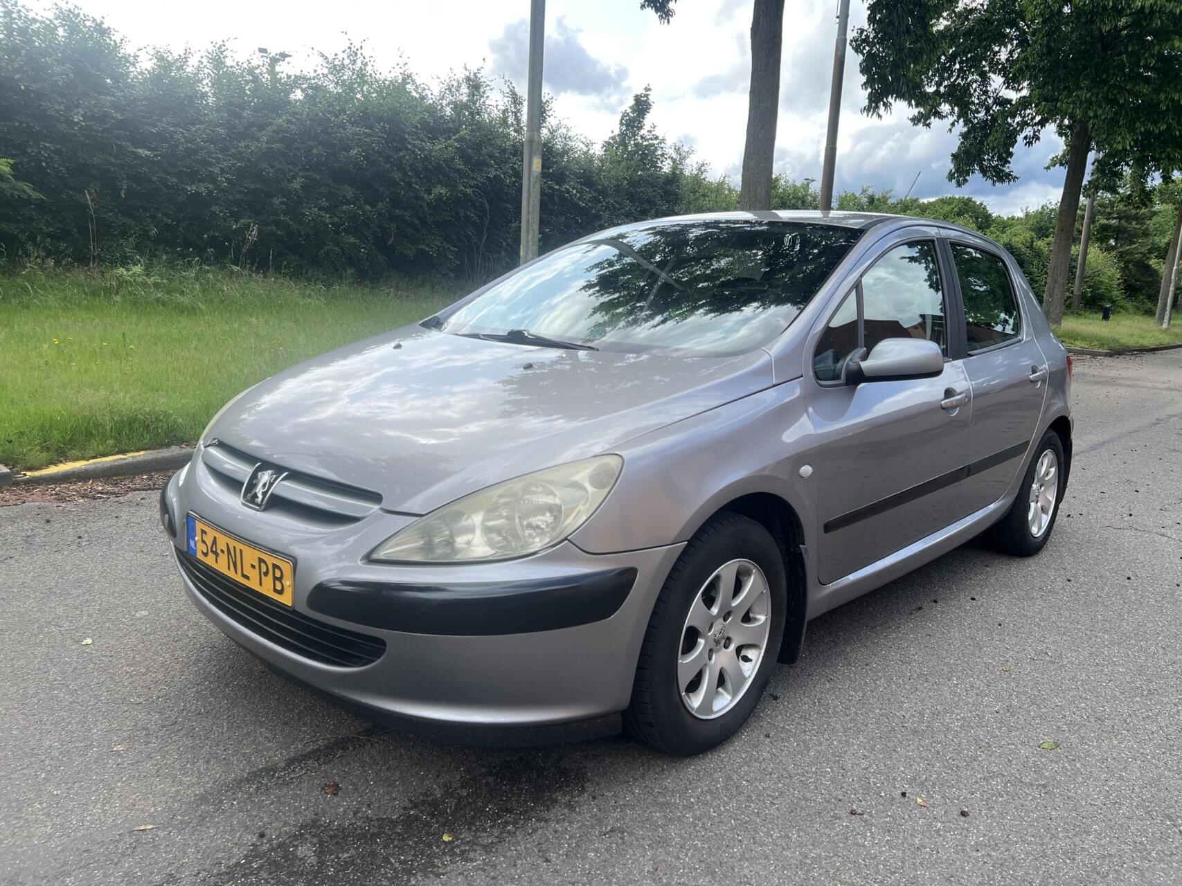 Foto van Peugeot 307