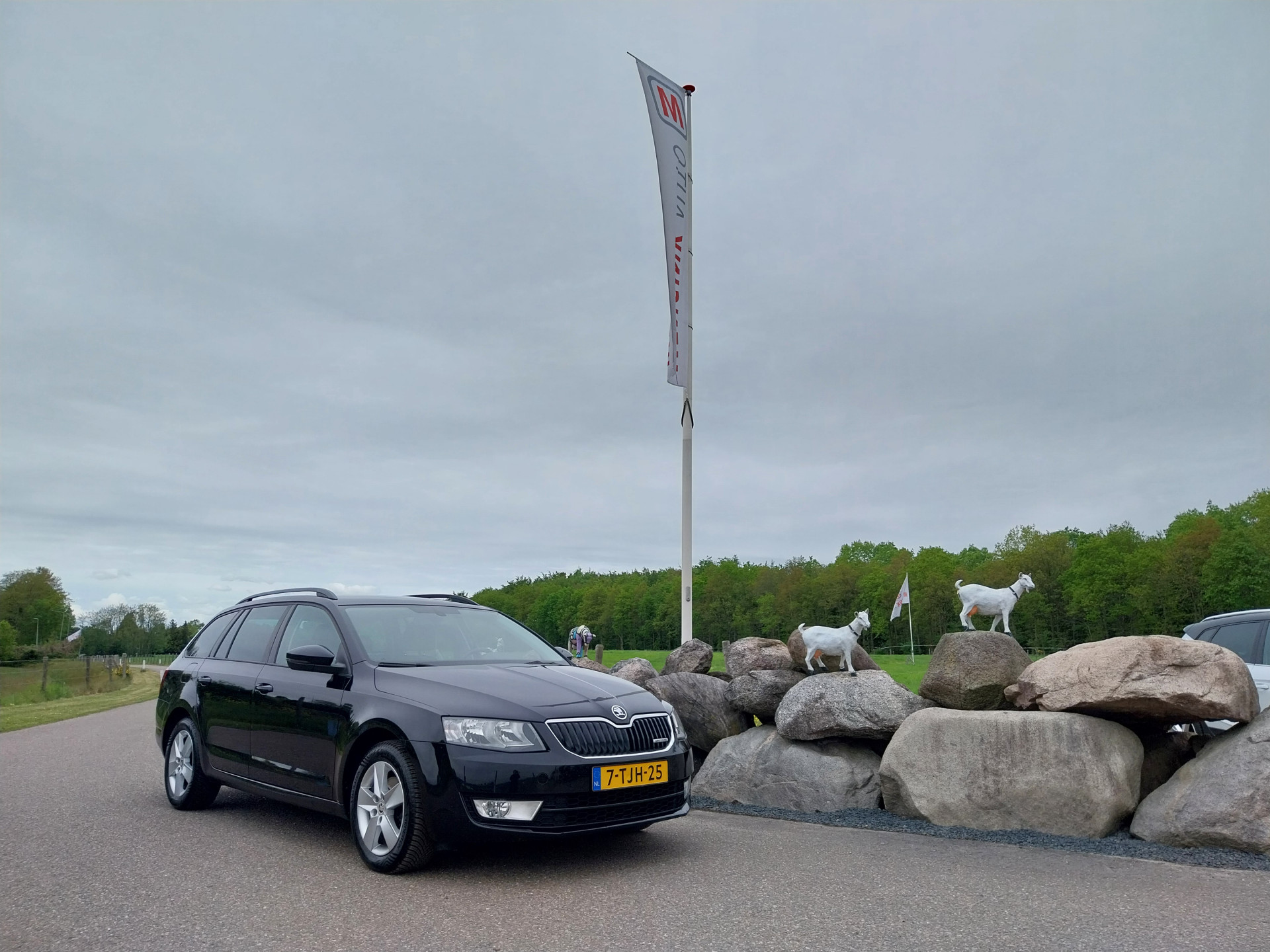 Foto van Skoda Octavia