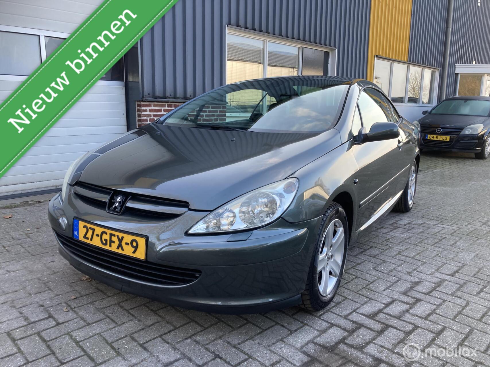 Foto van PEUGEOT 307