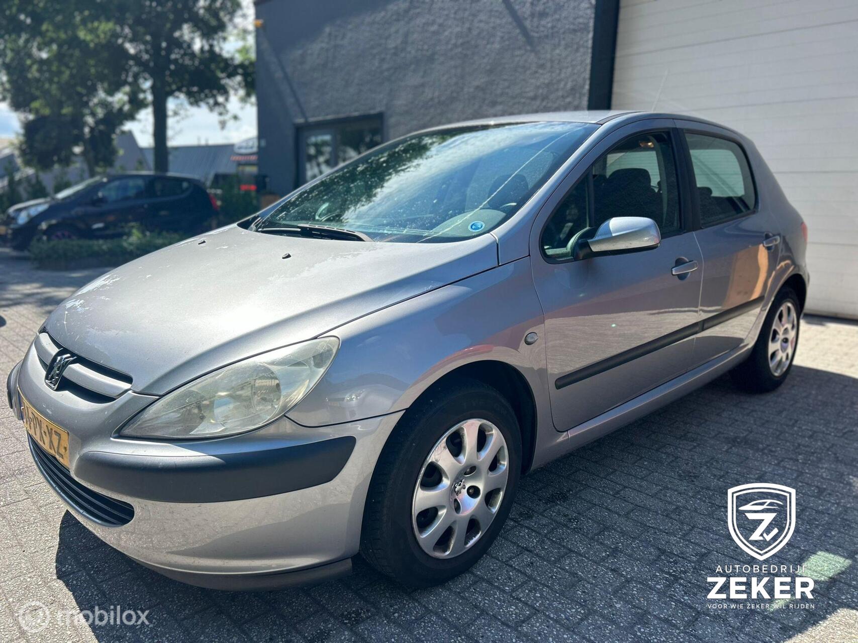 Foto van Peugeot 307