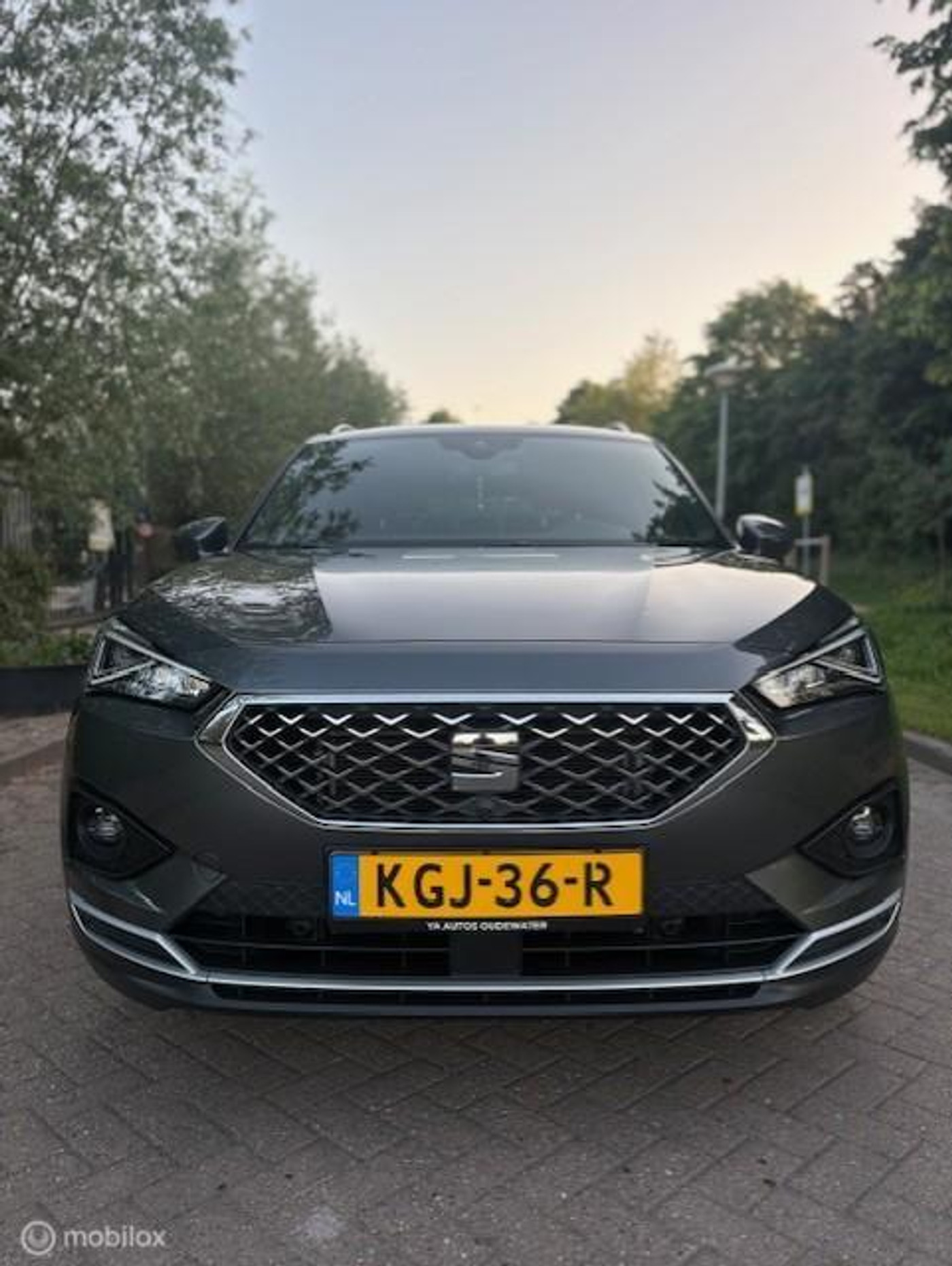 Foto van Seat Tarraco