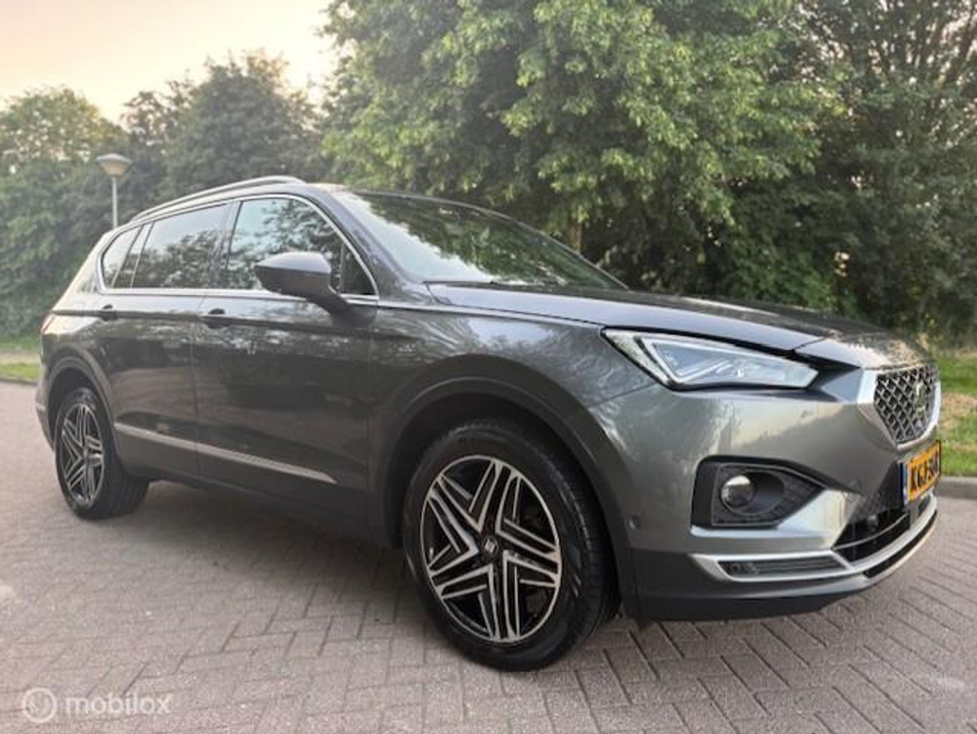 Foto van Seat Tarraco
