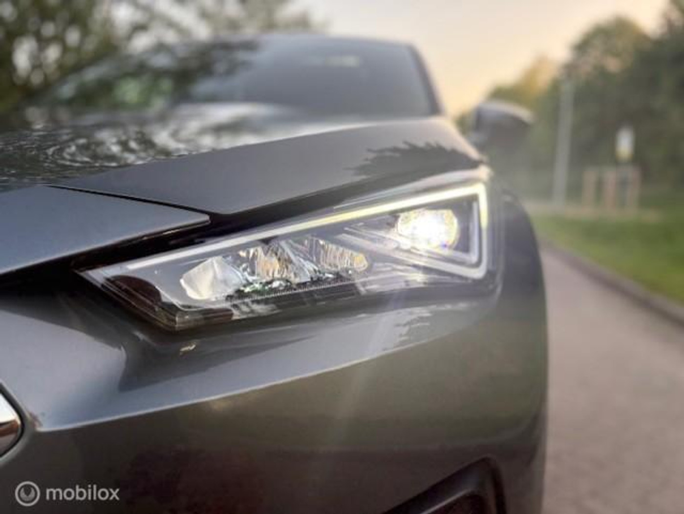 Foto van Seat Tarraco
