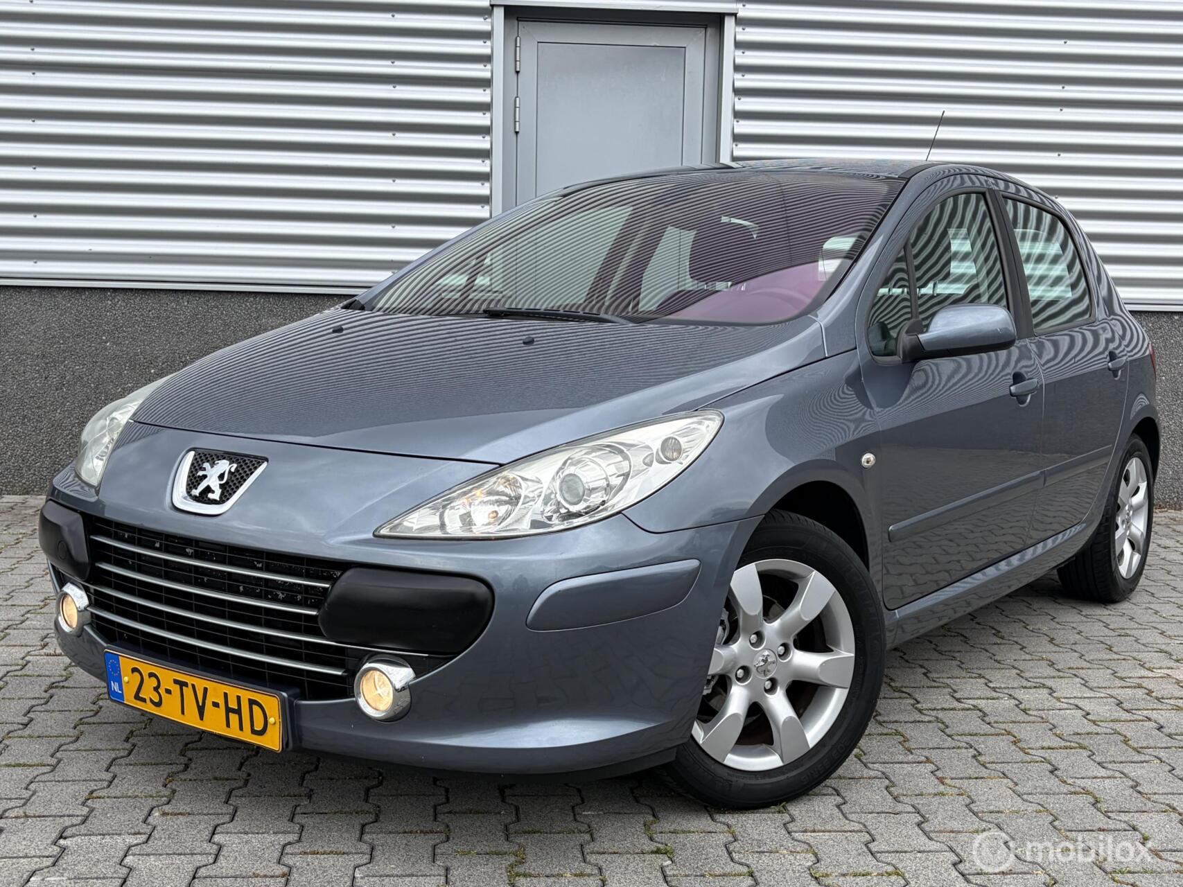 Foto van PEUGEOT 307