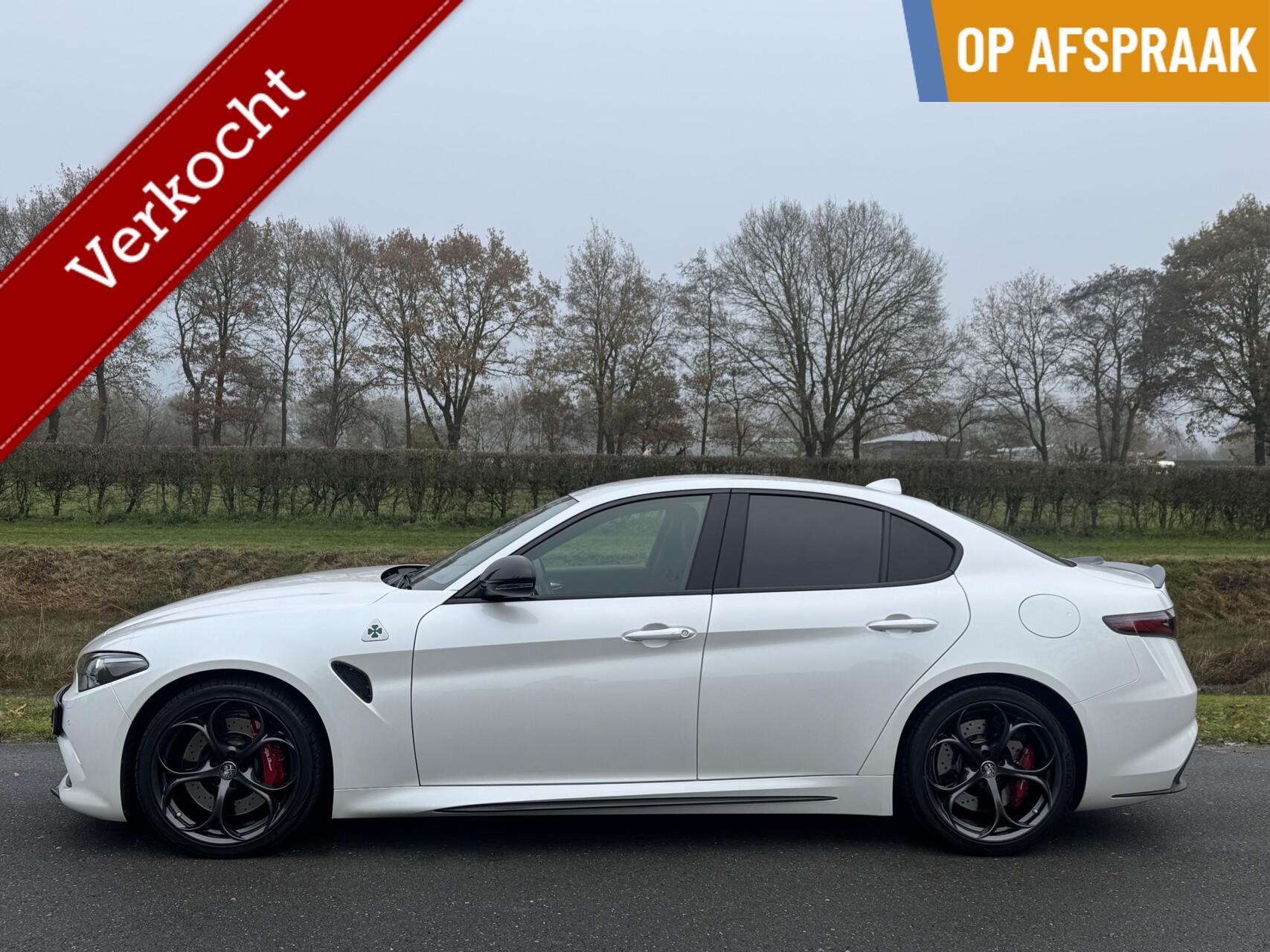 Foto van ALFA ROMEO GIULIA QUADRIFOGLIO