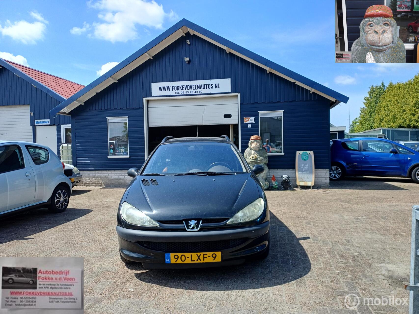 Foto van Peugeot 206