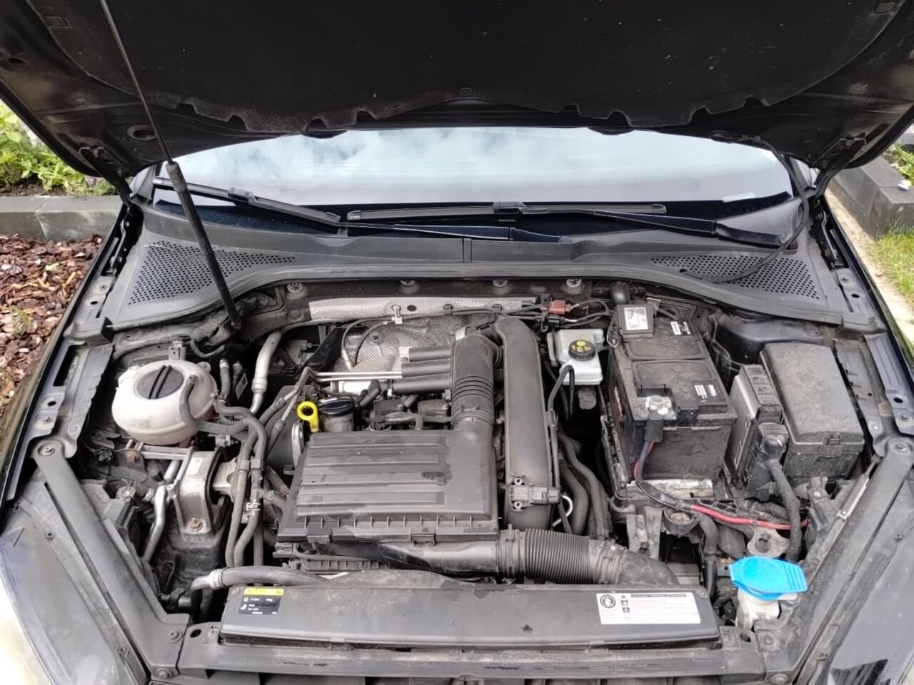Inspectiefoto van Volkswagen Golf Variant