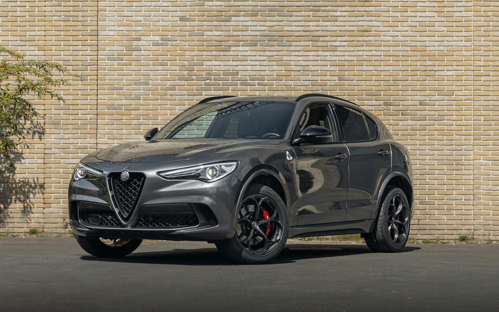 Alfa Romeo Stelvio Quadrifoglio Quadrifoglio 2.9 V6 510PK AWD 2022 - voorkant