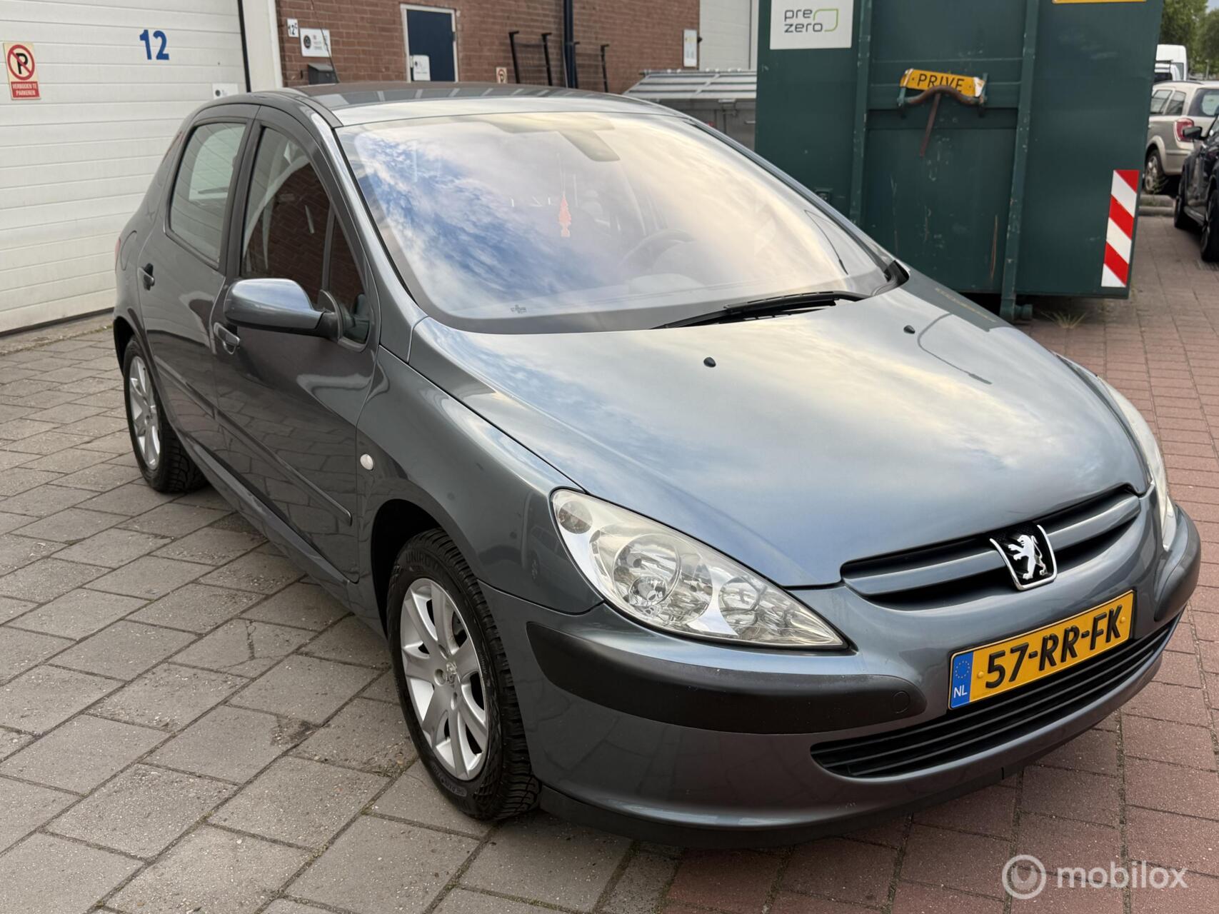 Foto van PEUGEOT 307
