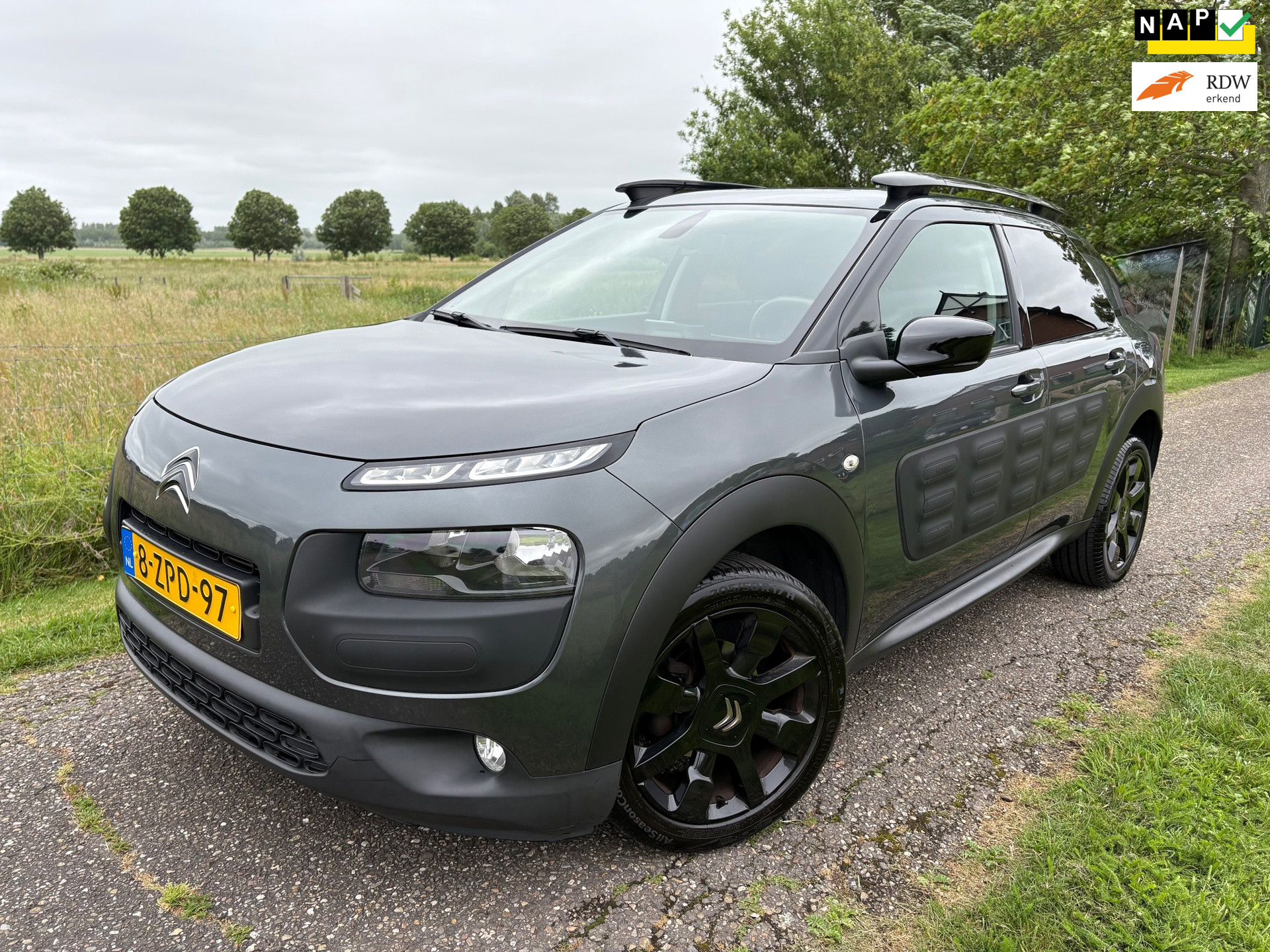 Foto van CITROEN C4 CACTUS