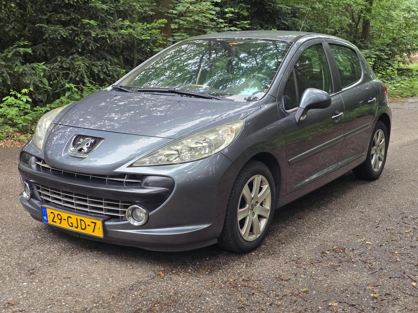 Foto van PEUGEOT 207