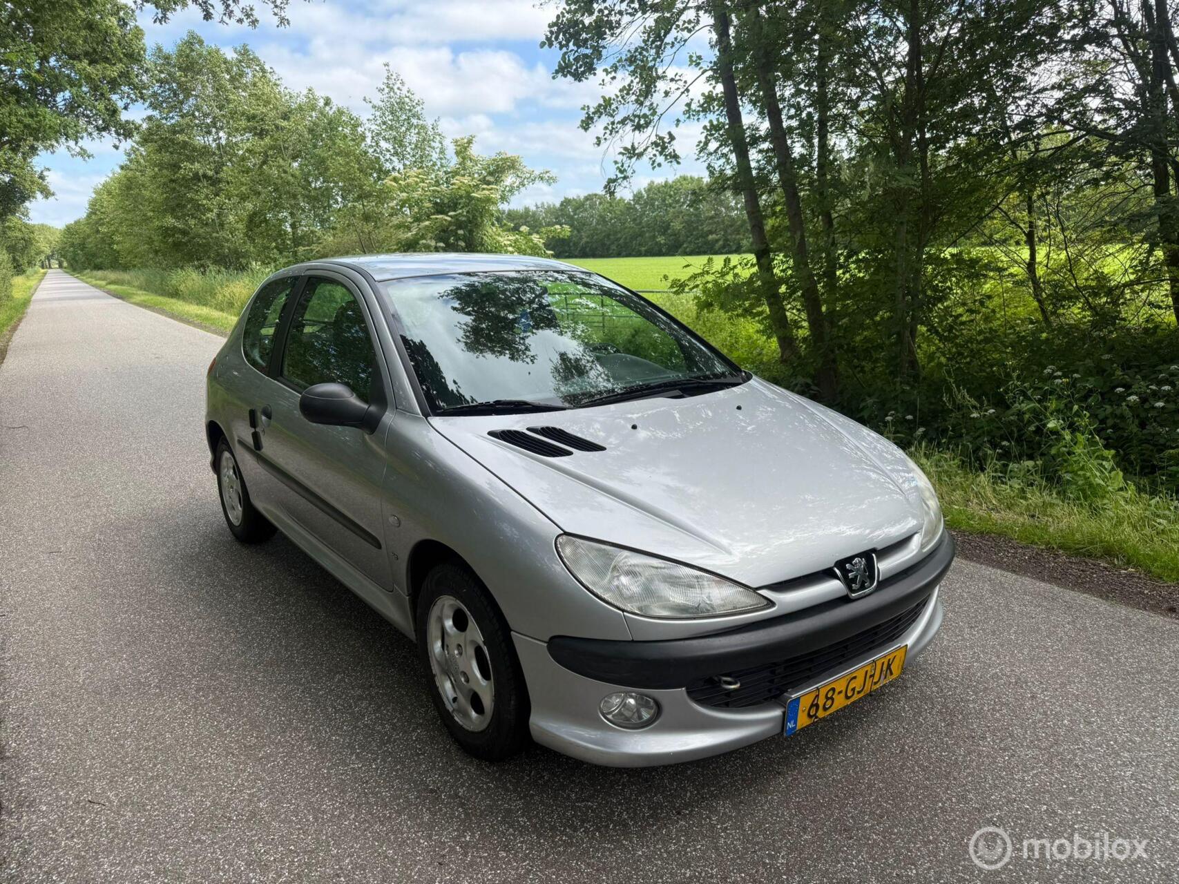 Foto van PEUGEOT 206