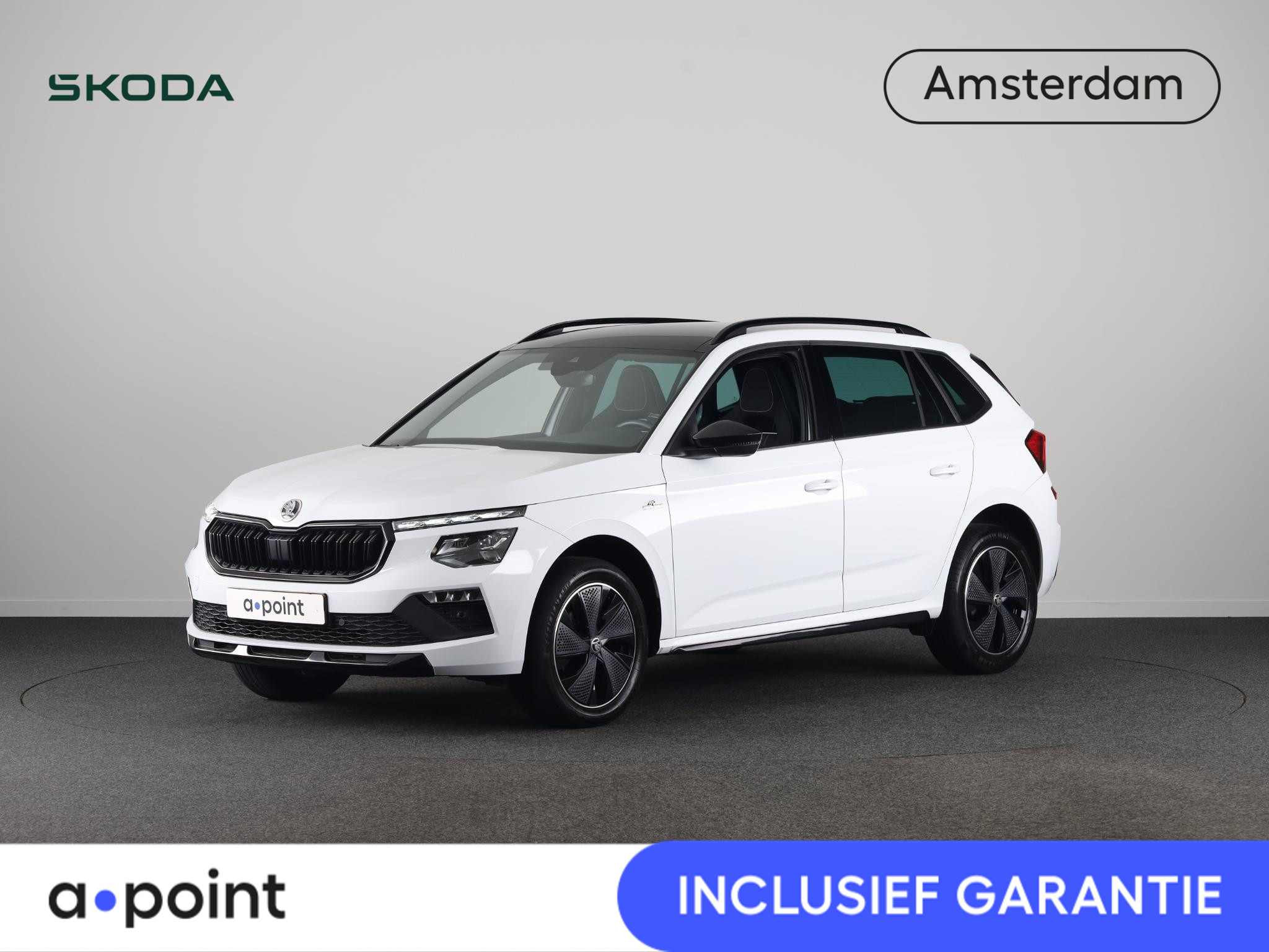 Foto van SKODA KAMIQ