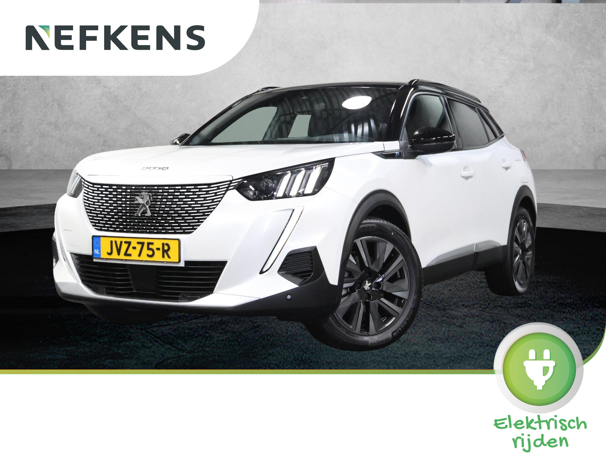 Foto van PEUGEOT 2008