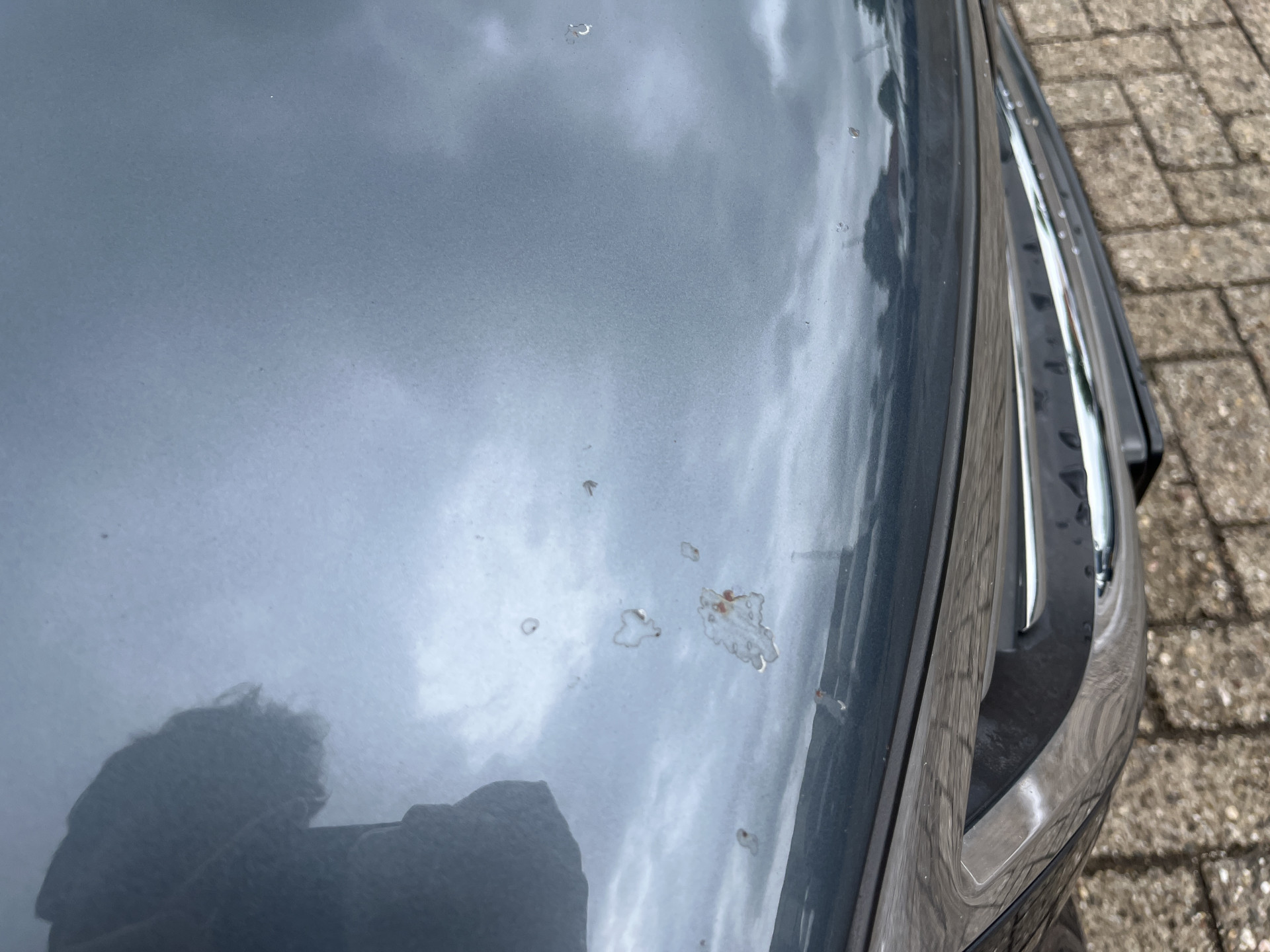 Foto van Volkswagen Passat CC