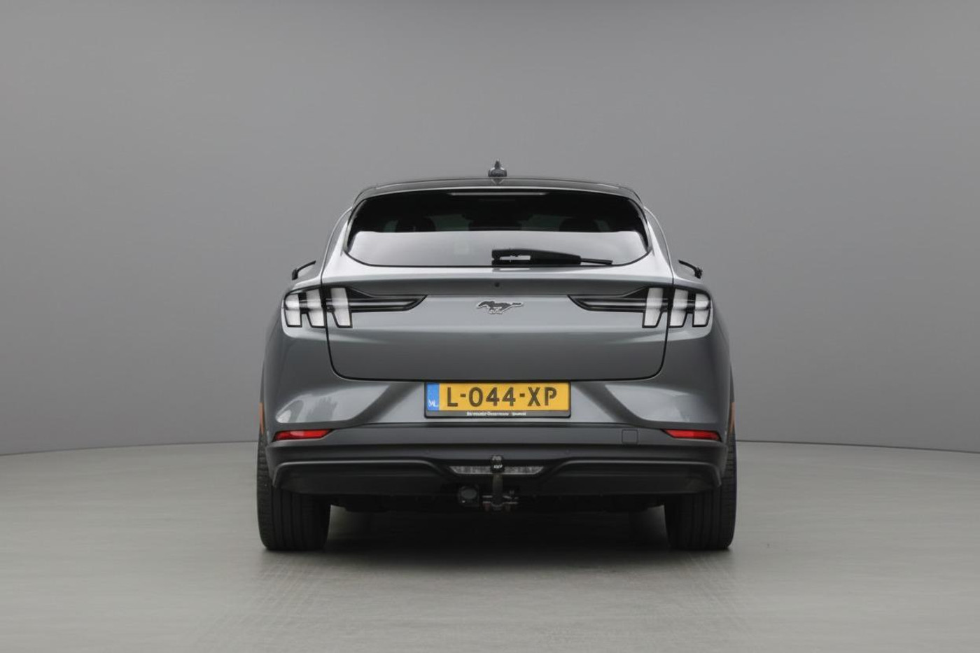 Foto van Ford Mustang Mach-e