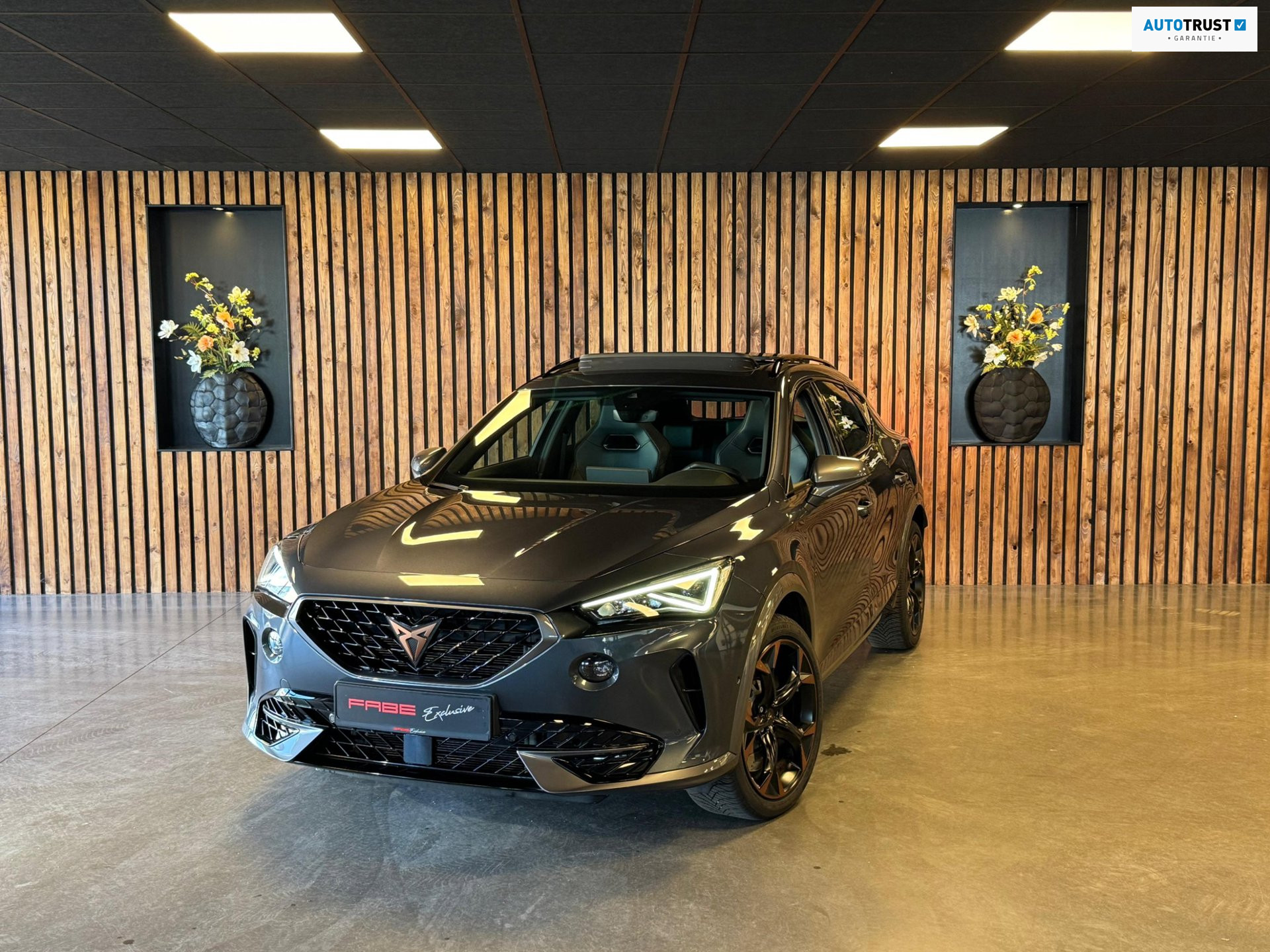 Foto van Cupra FORMENTOR