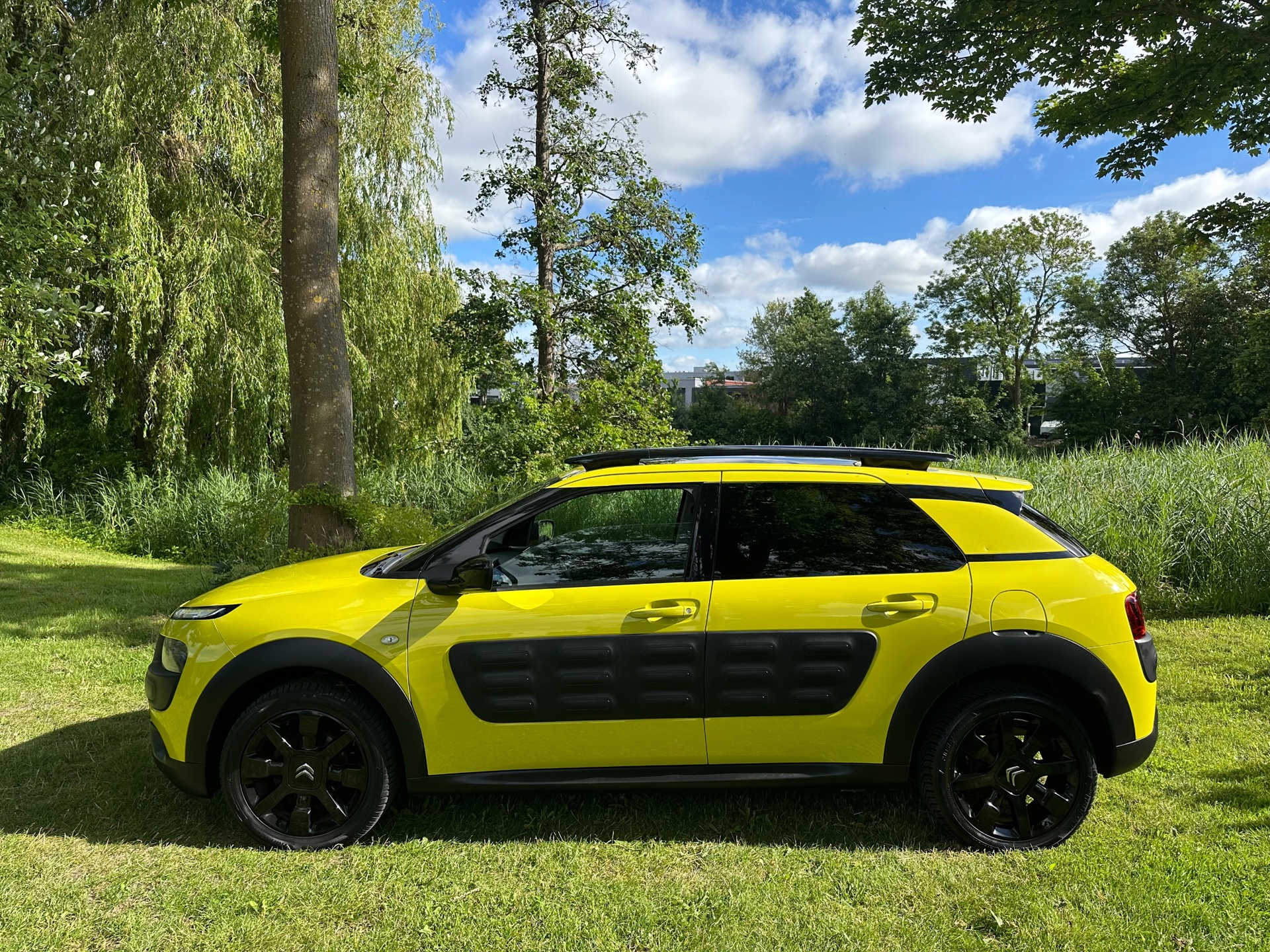 Foto van Citroen C4 Cactus
