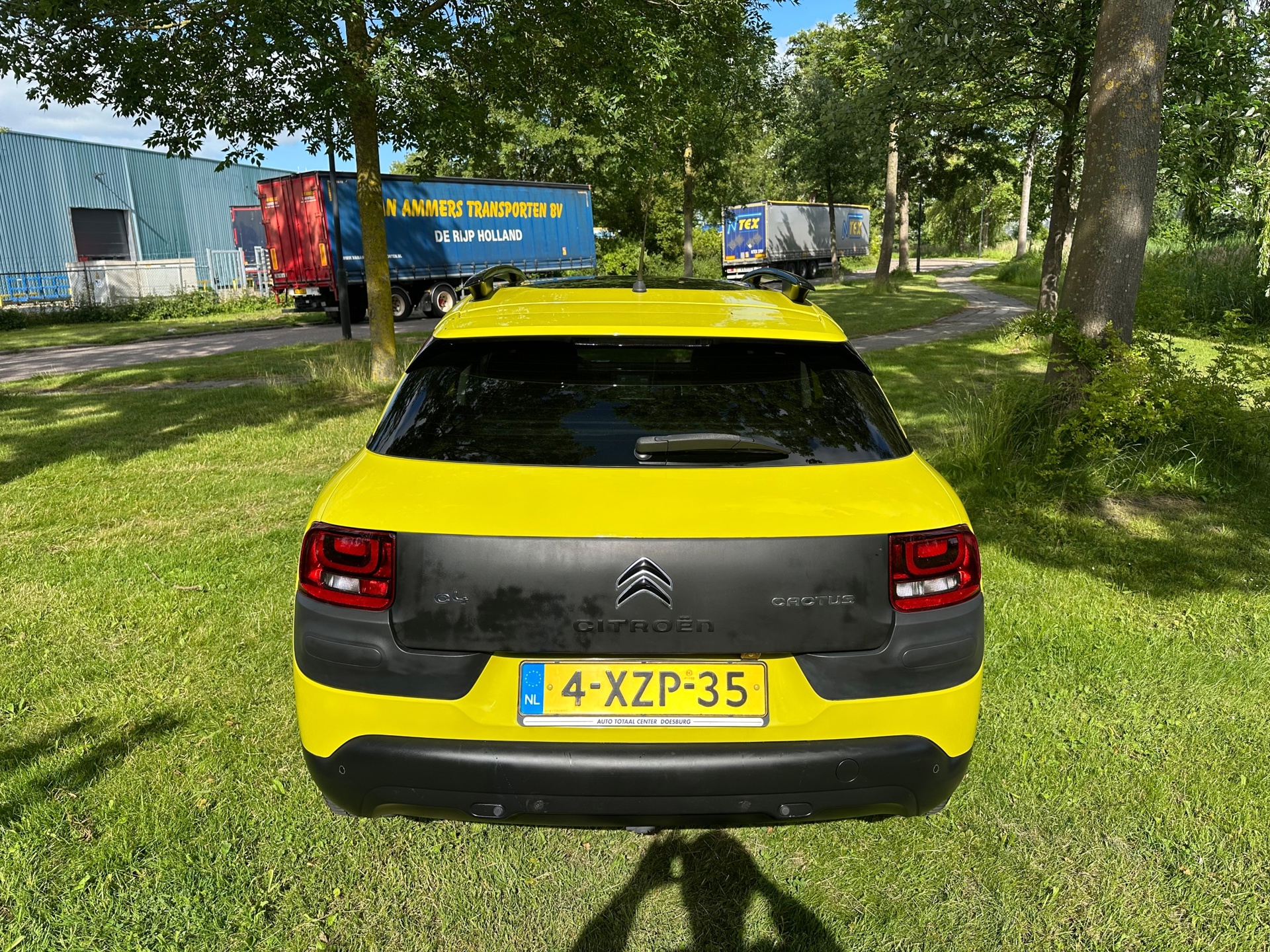 Foto van Citroen C4 Cactus