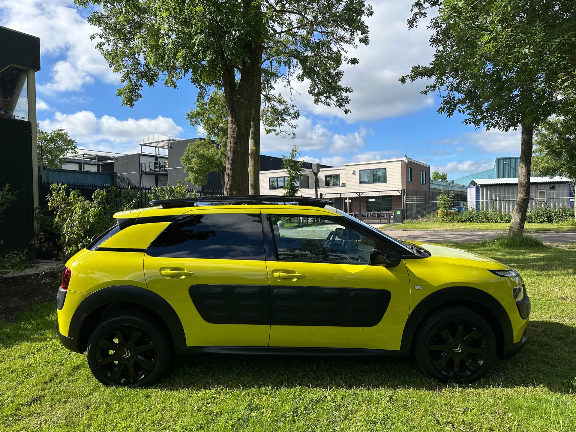 Foto van Citroen C4 Cactus