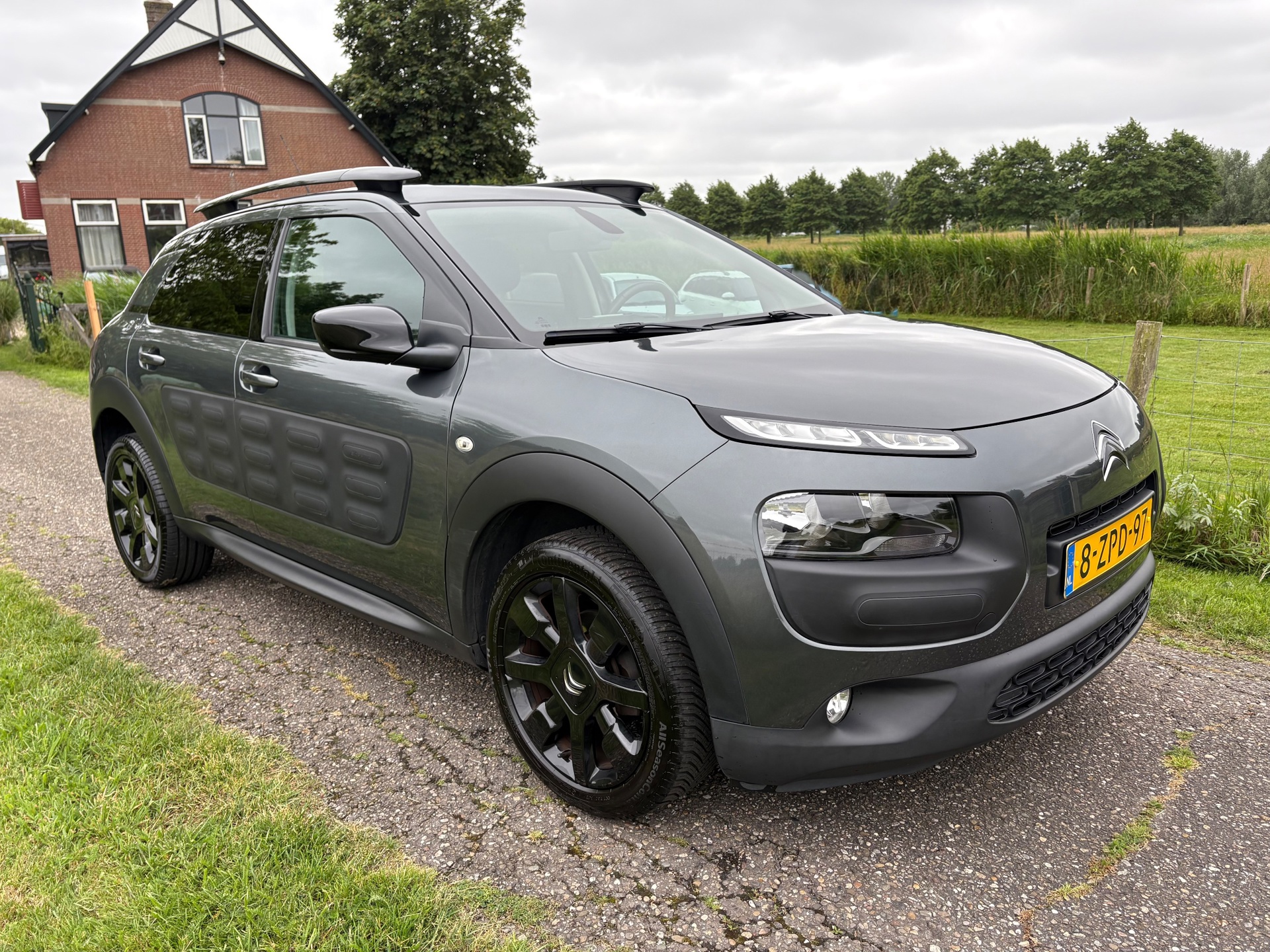 Foto van Citroen C4 Cactus