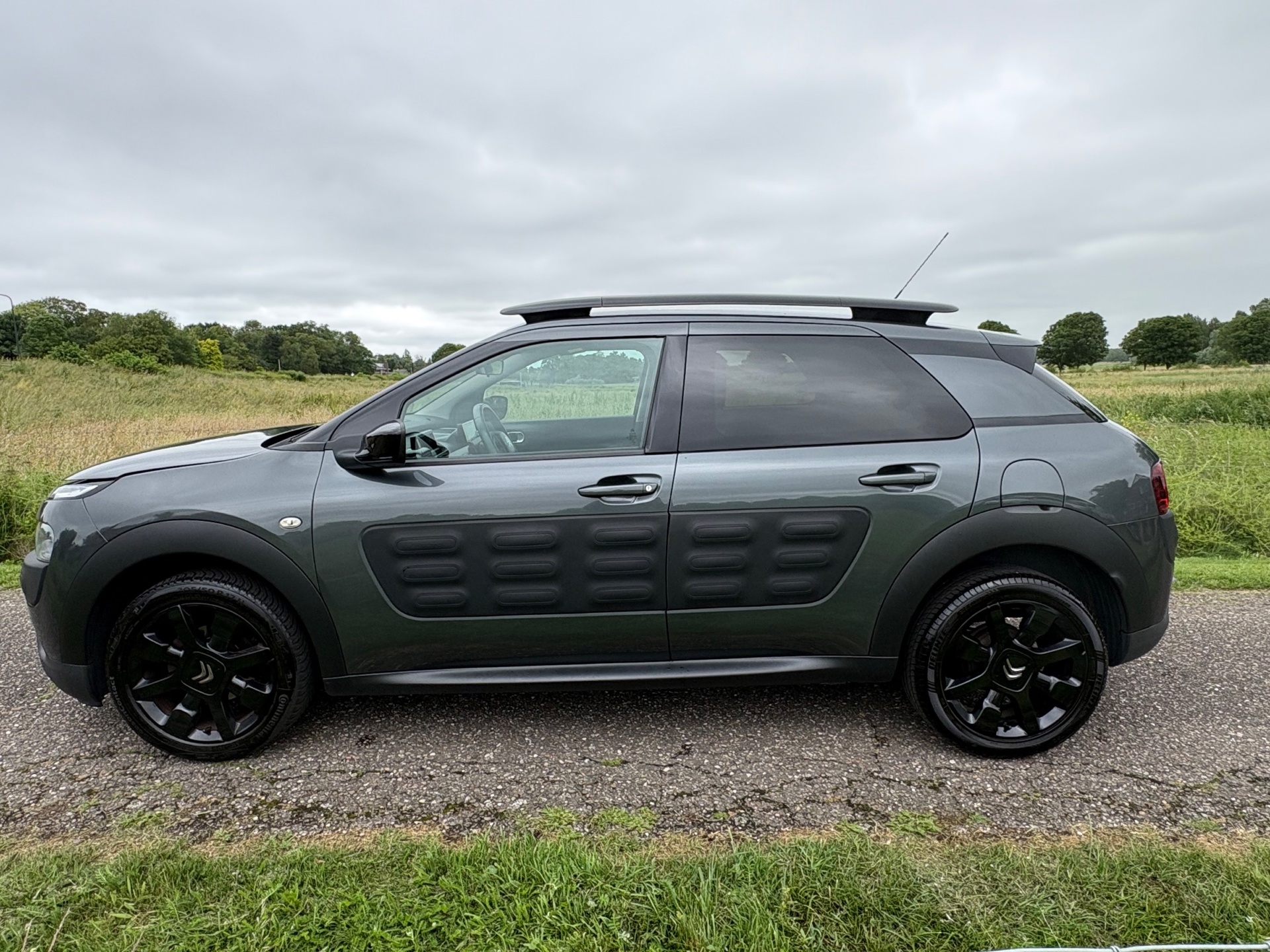 Foto van Citroen C4 Cactus