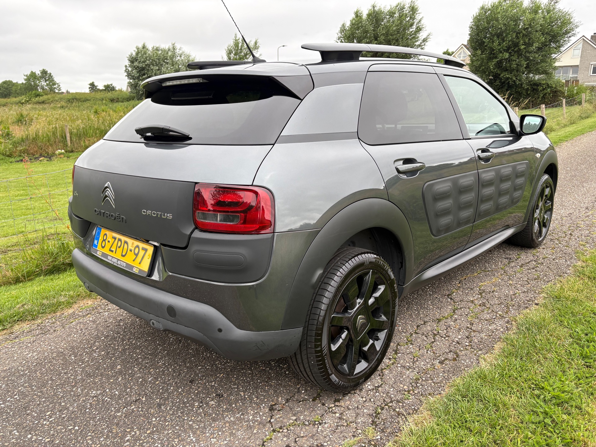 Foto van Citroen C4 Cactus