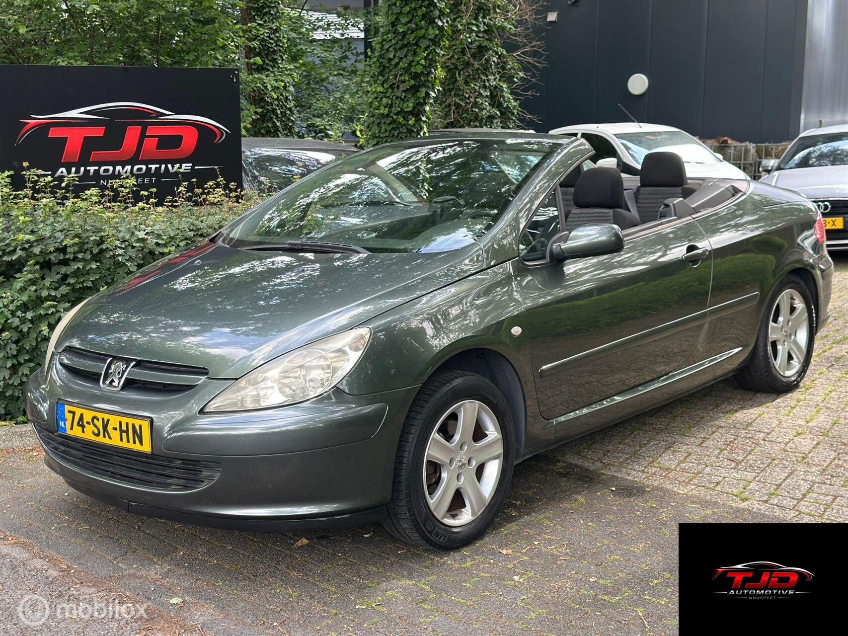 Foto van PEUGEOT 307