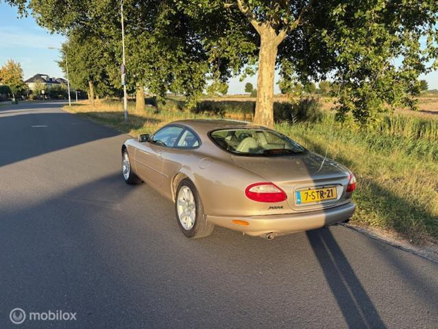 Foto van Jaguar Jaguar Xk8 Coupe