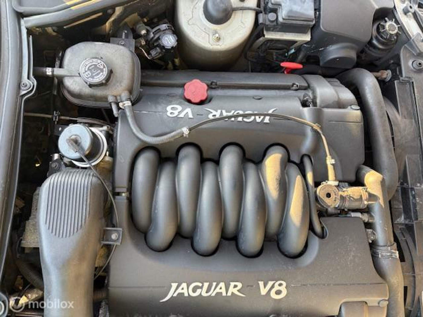 Foto van Jaguar Jaguar Xk8 Coupe