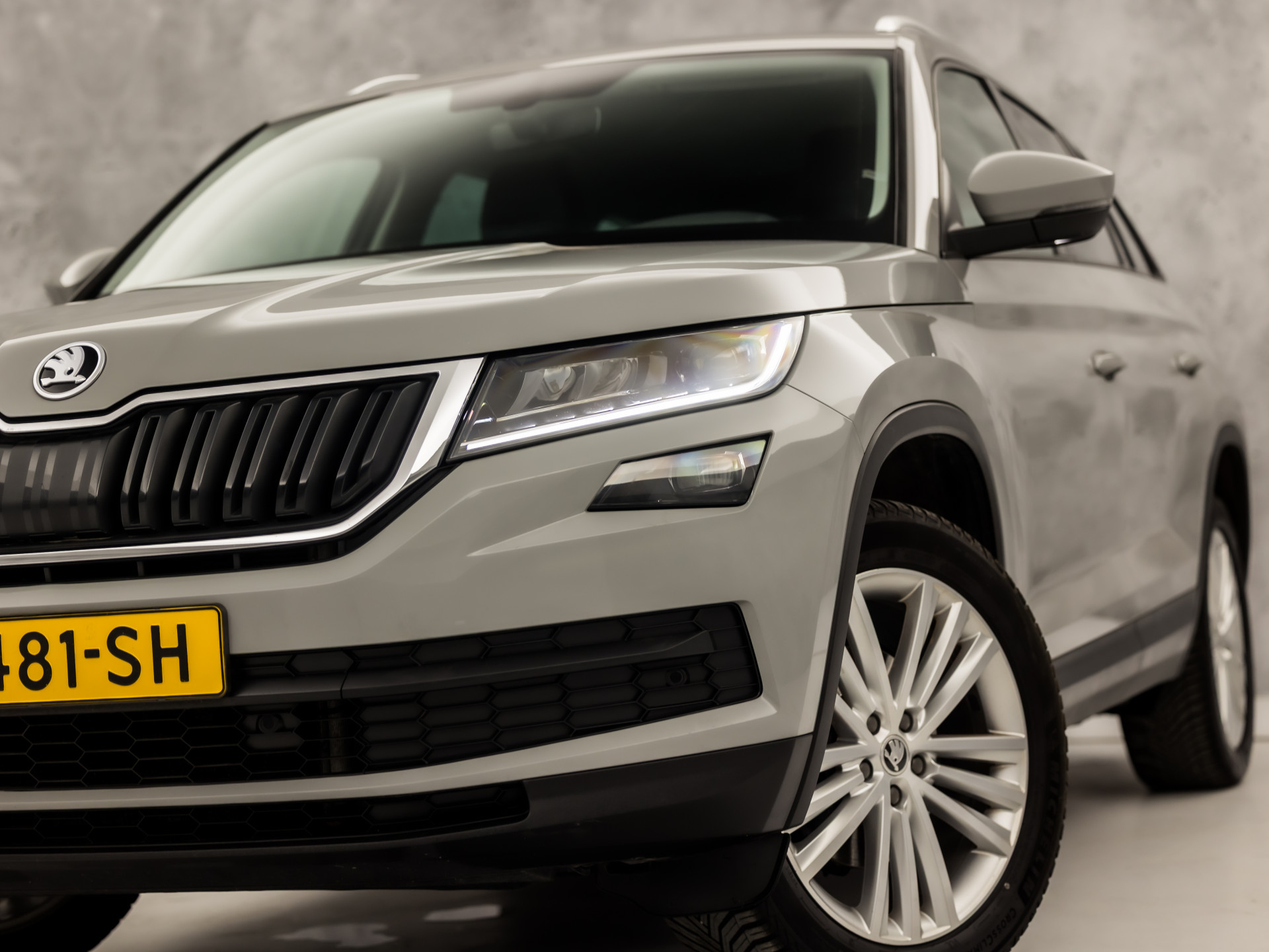 Foto van Skoda Kodiaq